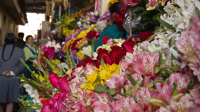 Flowers in a Cusco trip