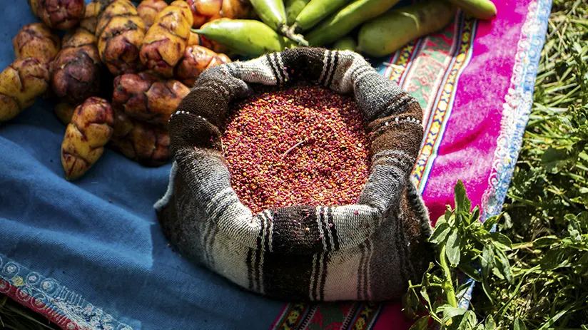 Traditional dishes