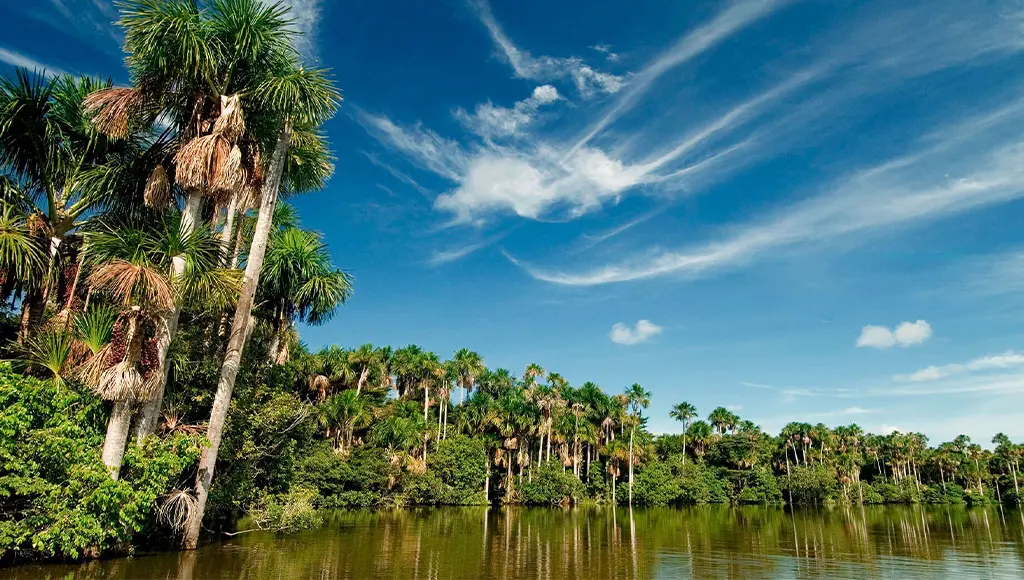 Sandoval Lake in Tambopata National Reserve