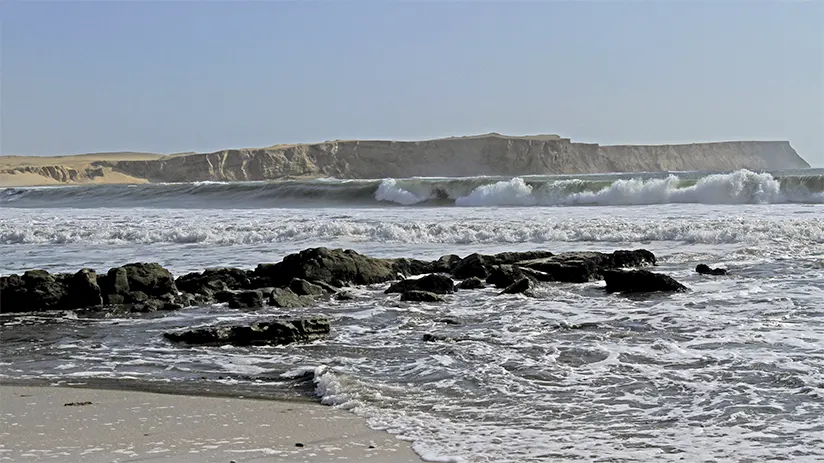 Paracas coast