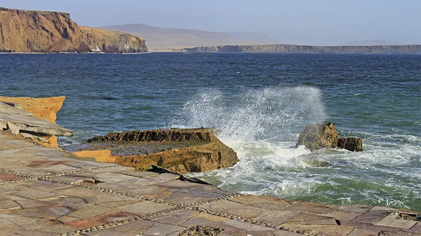 Paracas National Reserve