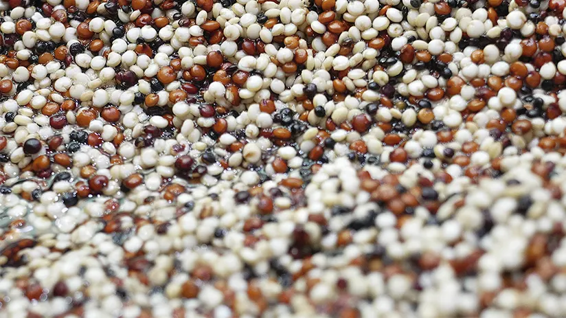 Quinoa health benefits