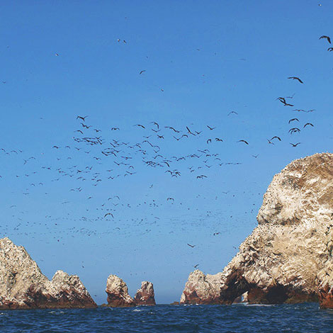 Ballestas Islands