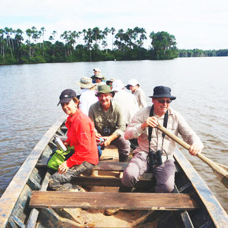 Boat Tours