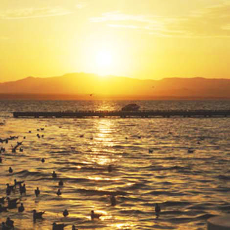 Enjoy the Water in Paracas