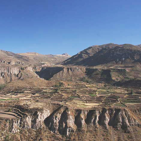 Gaze at ancient terraces