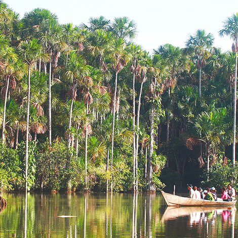 Lago Sandoval