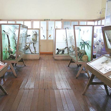 museo de historia natural