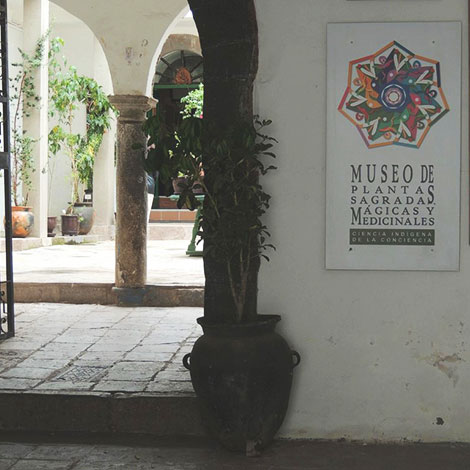 museo de plantas sagradas, magicas y medicinales