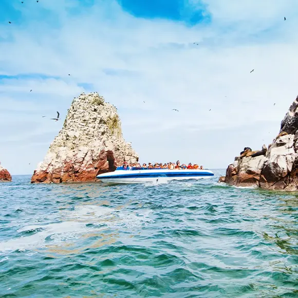 Paracas and Ballestas Islands