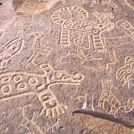 Toro Muerto petroglyphs