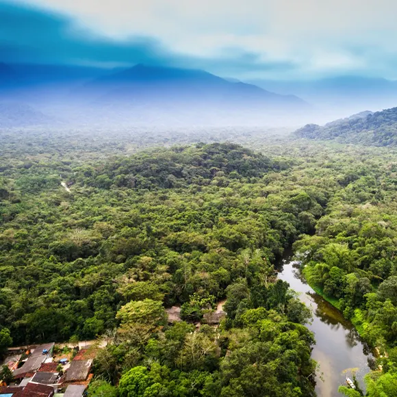ecuador amazon rainforest