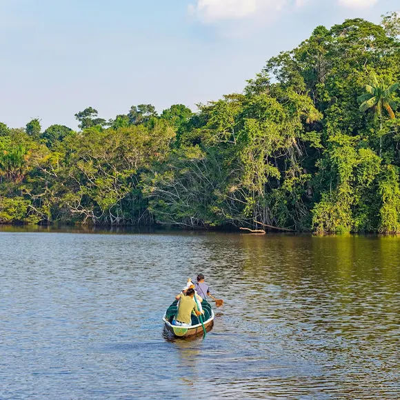 ecuador amazon rainforest