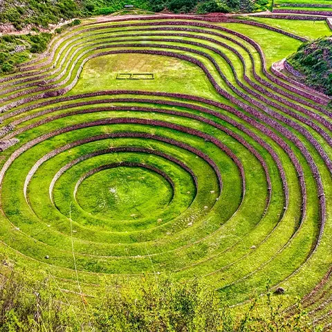 sacred valley moray