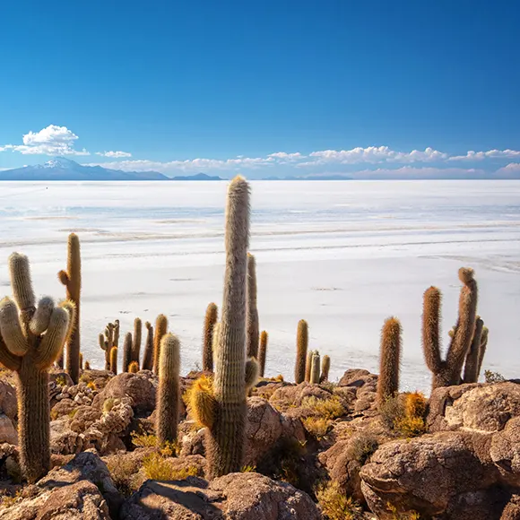 uyuni bolivia