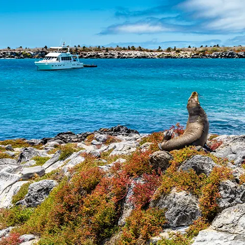 wild life galapagos