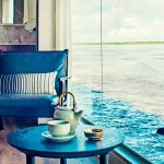 Aria Amazon Design Suite