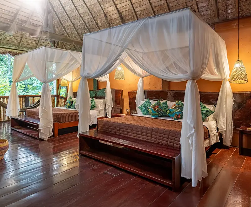 Rainforest Expedition Posada Amazonas