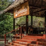 Rainforest Expedition Posada Amazonas