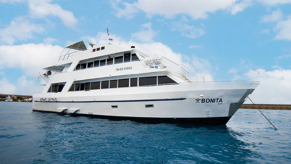 Bonita Yacht