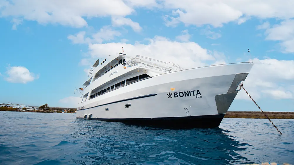 Bonita Yacht