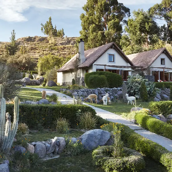 colca canyon hotels