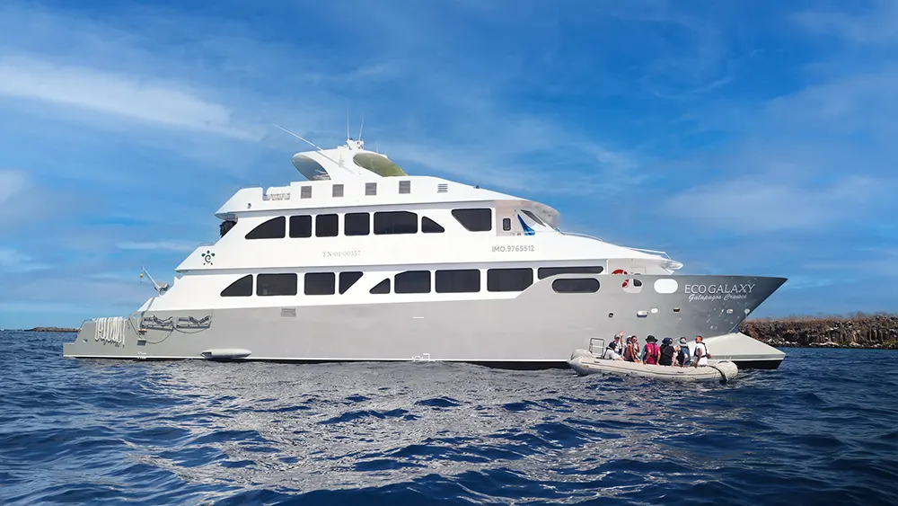 ecogalaxy catamaran