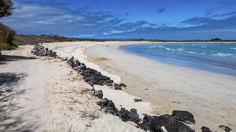 Galapagos dry season