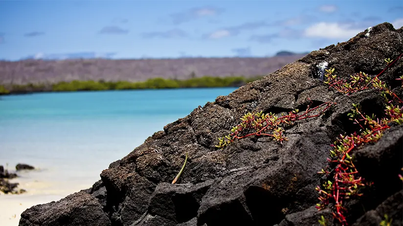 Galapagos Islands geography