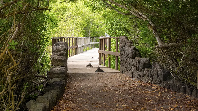 Galapagos itinerary