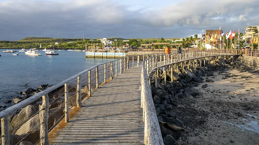 Land and cruises Galapagos tours