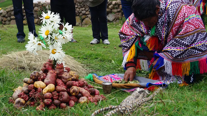 Pachamama cosmovision
