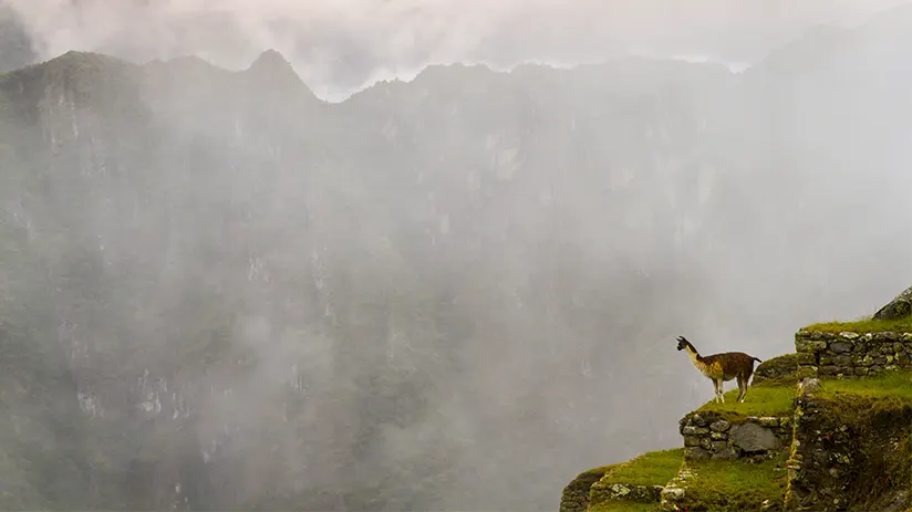 Best time to visit Peru by destination