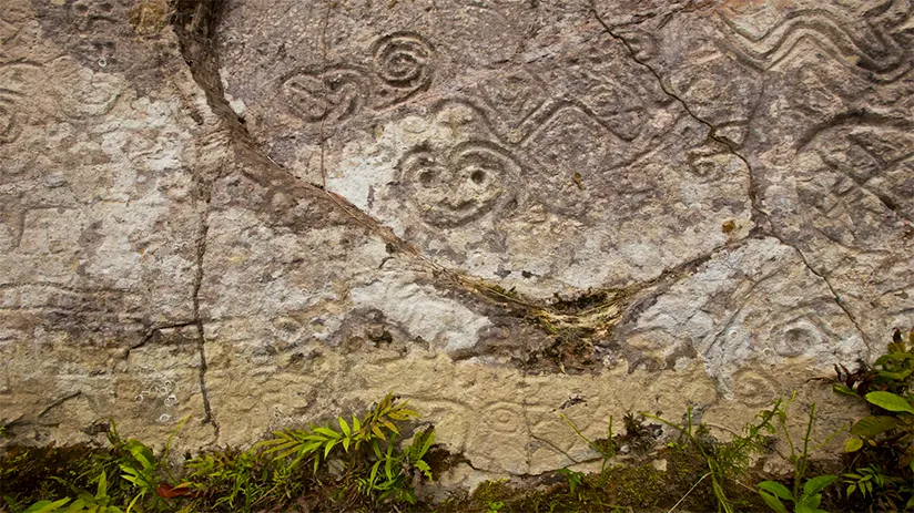 Amazon petroglyphs