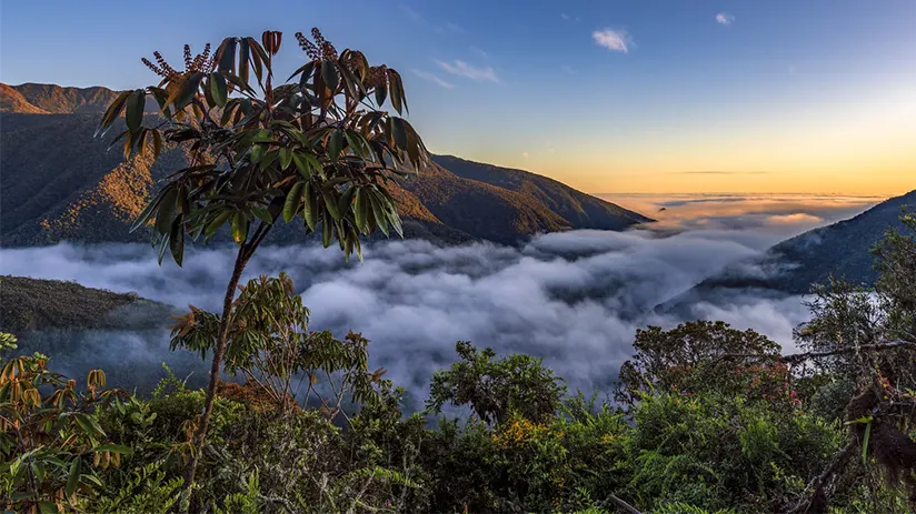 Manu Biosphere Reserve
