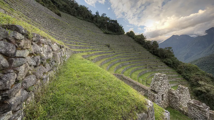 Activities in the Machu Picchu Citadel