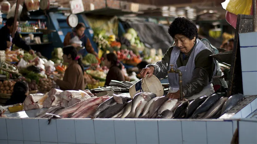 The right fish for ceviche