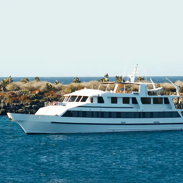 integrity yacht cruise