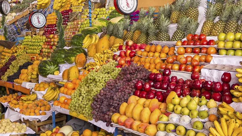 Explore the San Camilo market
