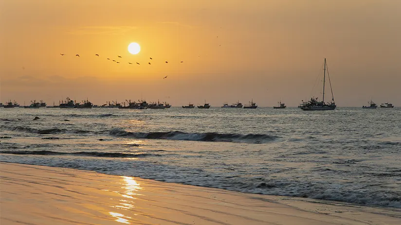 Peruvian beaches