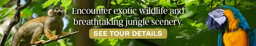 Encounter exotic wildlife and breathtaking jungle scenery
