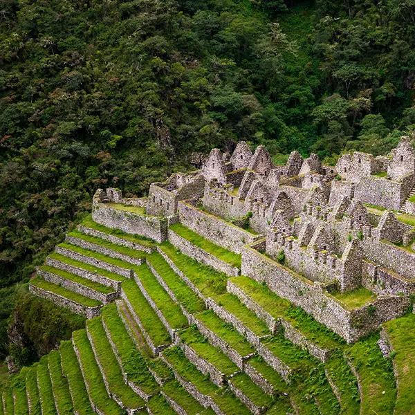 Sustainability tours