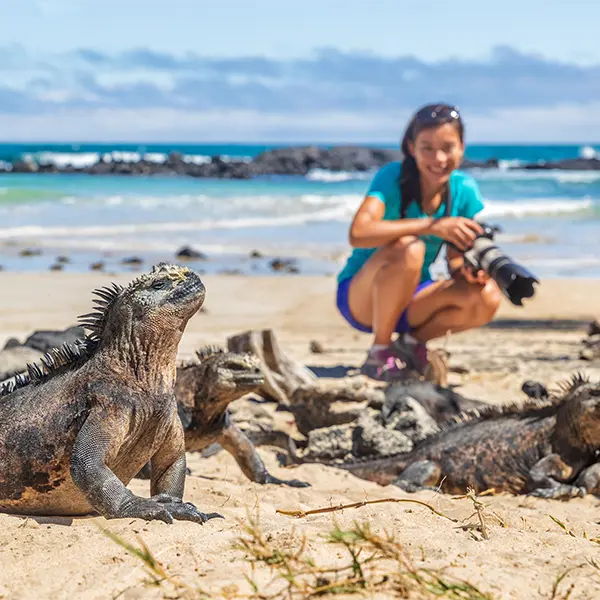 taylor made experiences galapagos