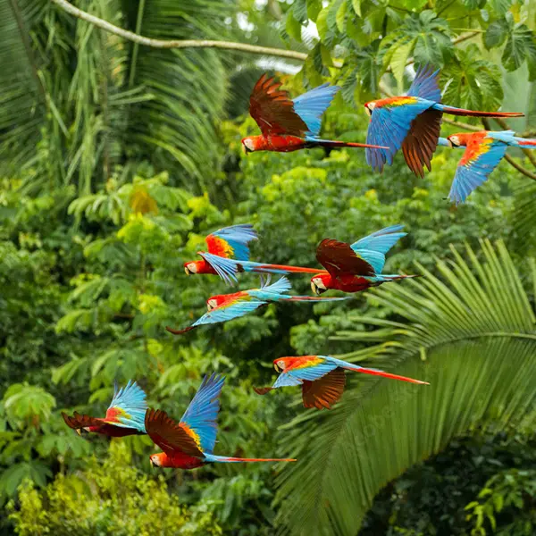 Nature & Biodiversity Tours