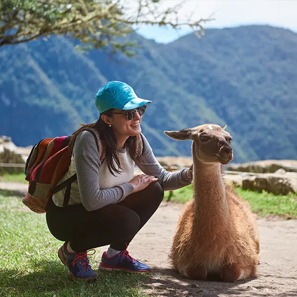 Solo Travel Machu Picchu