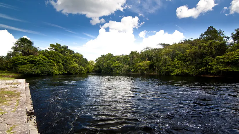 Southern Peruvian Amazon 