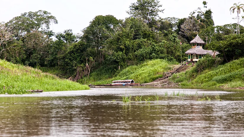 Peru Amazon