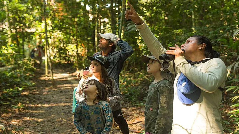 Amazon birdwatching Peru