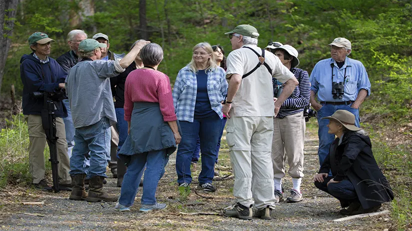 Birdwatchers in Tambopata