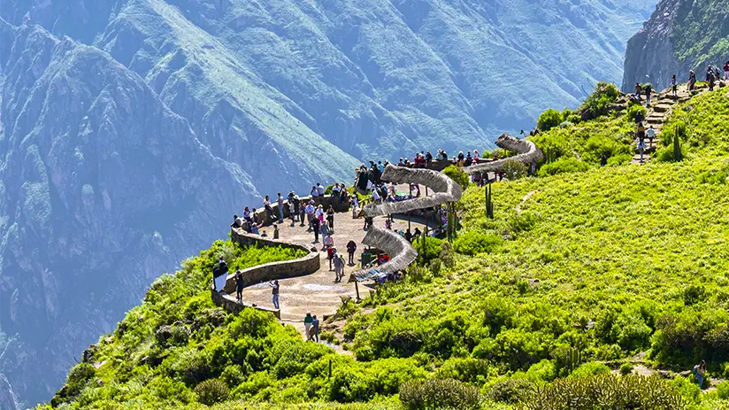 Condor viewpoint